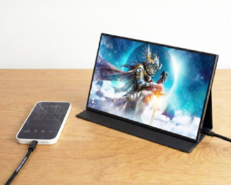 ITPROTECH USB Type-Cやわらかケーブル 2本セット マスターグレードケーブル 240W / USB3.2 Gen2×2（20Gbps）IPT-2SET240W20G-JUST アイティプロテック ジャストシステム